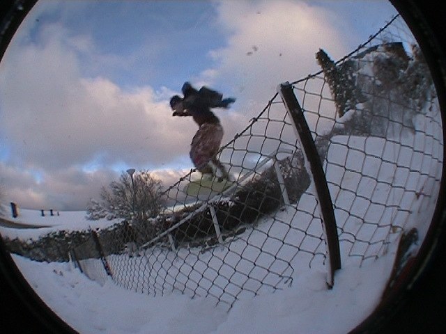 Ett sjysst handrail på en idrotts lektion....kan . Foto: Carl-oskar. Åkare: jag.