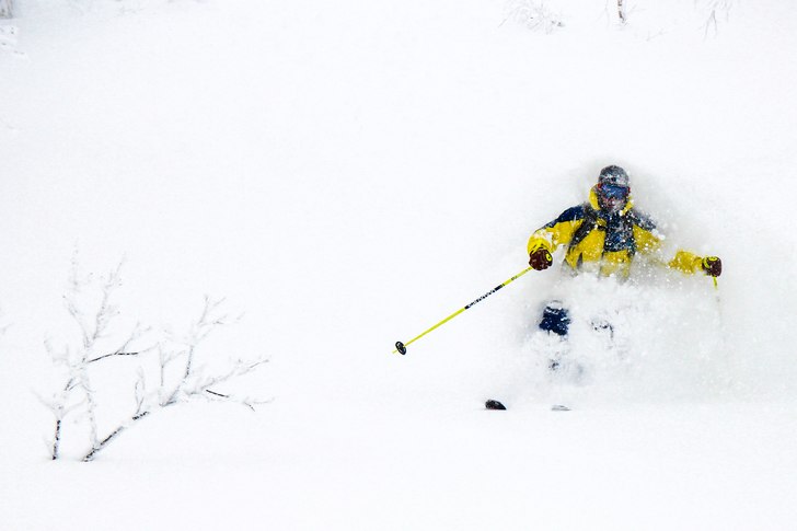 Dennis Rajden Foto - Japan Powder Goodness.