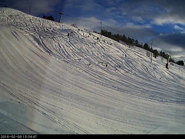 Flotte forhold!
Denne veka blir det full rulle på.