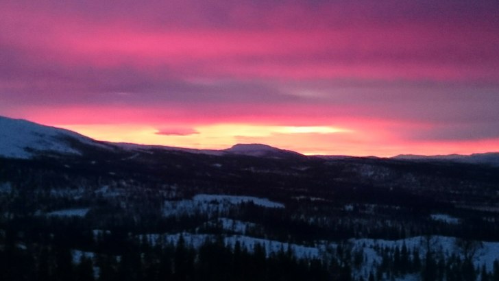 ny fin dag
Skiløyper preparert og fine faste forh.