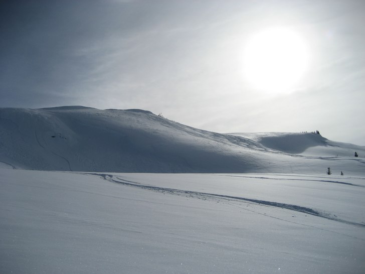 Foto: Sara Schützer.