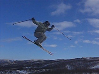 Foto: Anders Espegal A'la Noruega. Åkare: Ego.