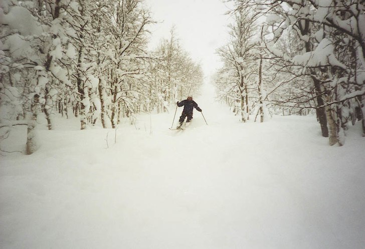 Foto: Dan Ring. Åkare: Mattias Kempe.