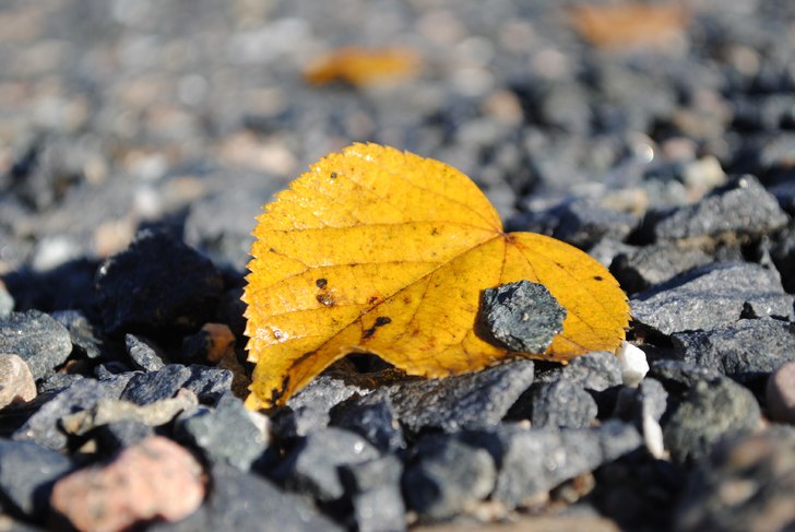 Foto: Linn Östlund.