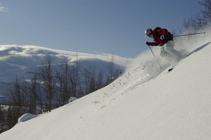 En fager dag. Vad mer kan man begära? En par vän. Foto: Bengt Luthman. Åkare: Carl-Johan Triumf.