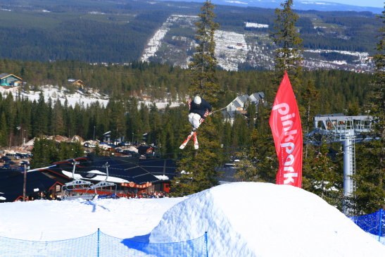 Foto: Anders Wahlgren. Åkare: Jesper Wahlgren.