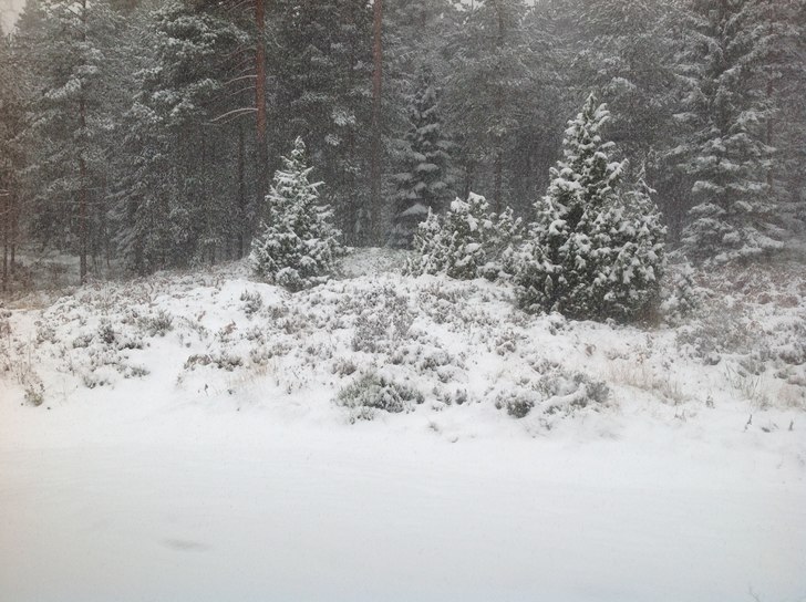 Första snön vintern 2012/2013, 29 oktober!. Foto: Mountain Man. Åkare: Nobody.
