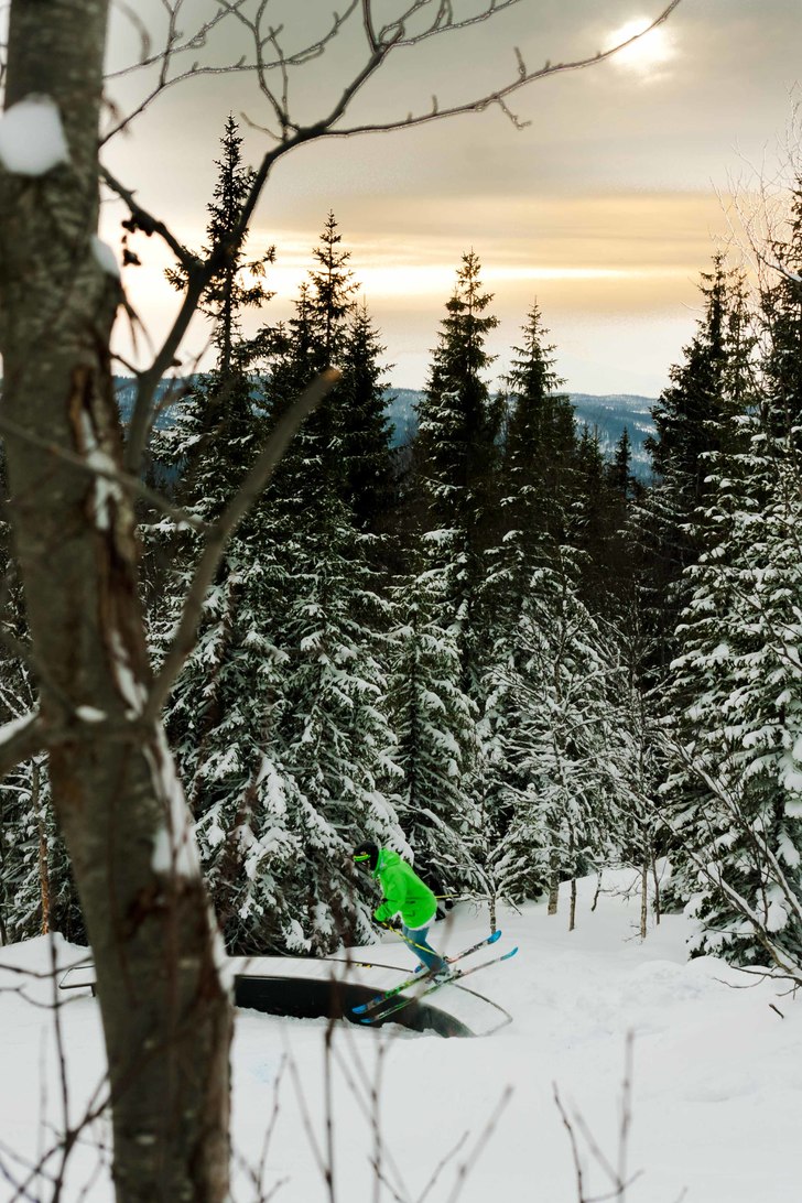 Foto: Johanna Küchler. Åkare: Joakim Croy.