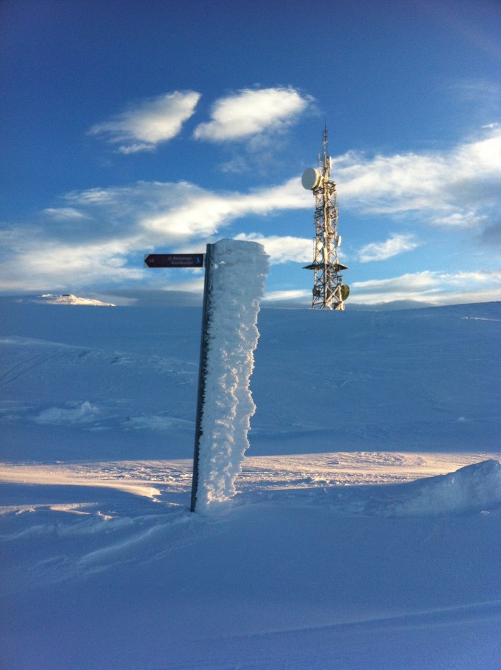 Foto: Ola Kristoffersson.