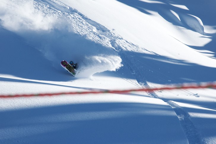 Foto: Johan Palmqvist. Åkare: Marcle Jordan.