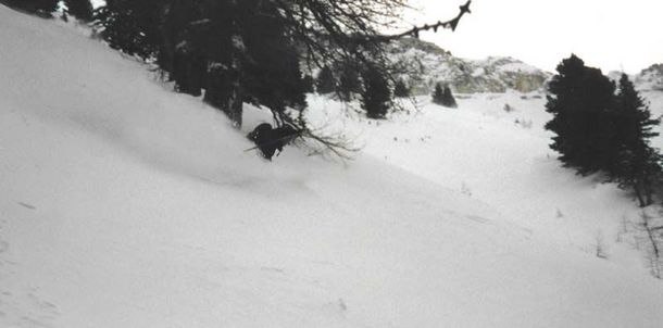 Foto: Björn Petterson. Åkare: Kristian Lidin.