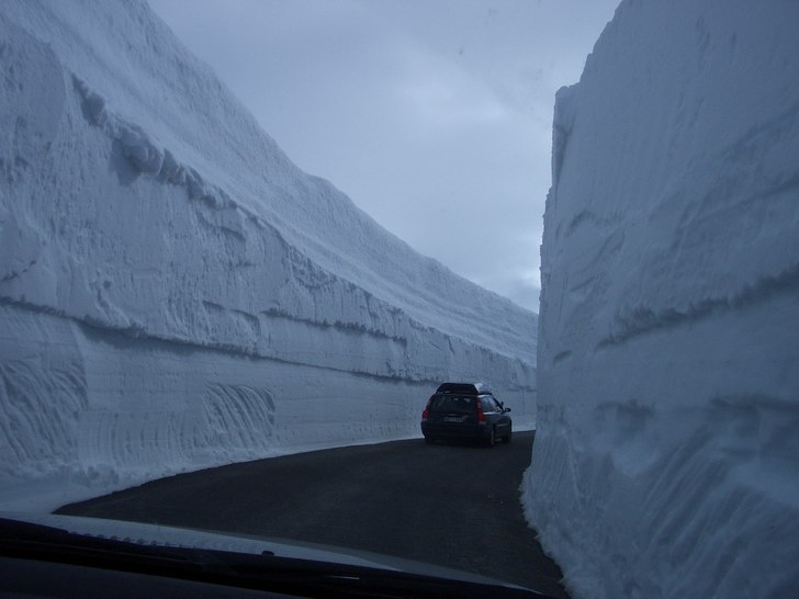 Foto: Marcus Dahllöf.