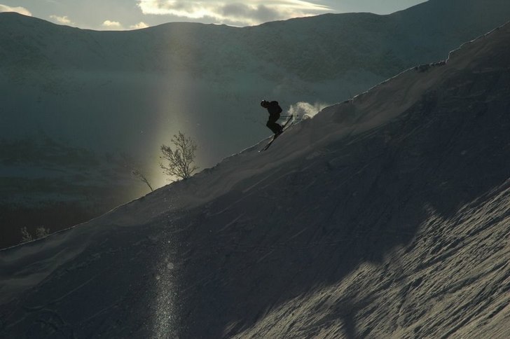 Storgrova. Foto: Ulrica Håård. Åkare: Dan.