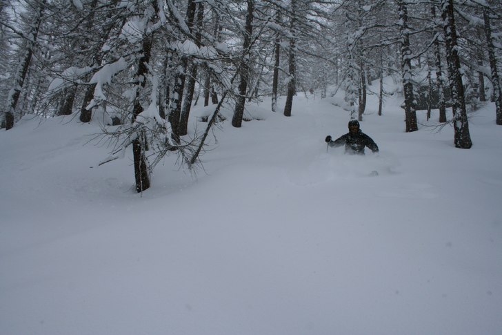 Foto: Björn Gannsjö.