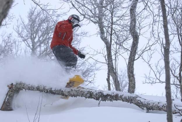 Foto: Stefan Brodén. Åkare: Stefan Lundin.