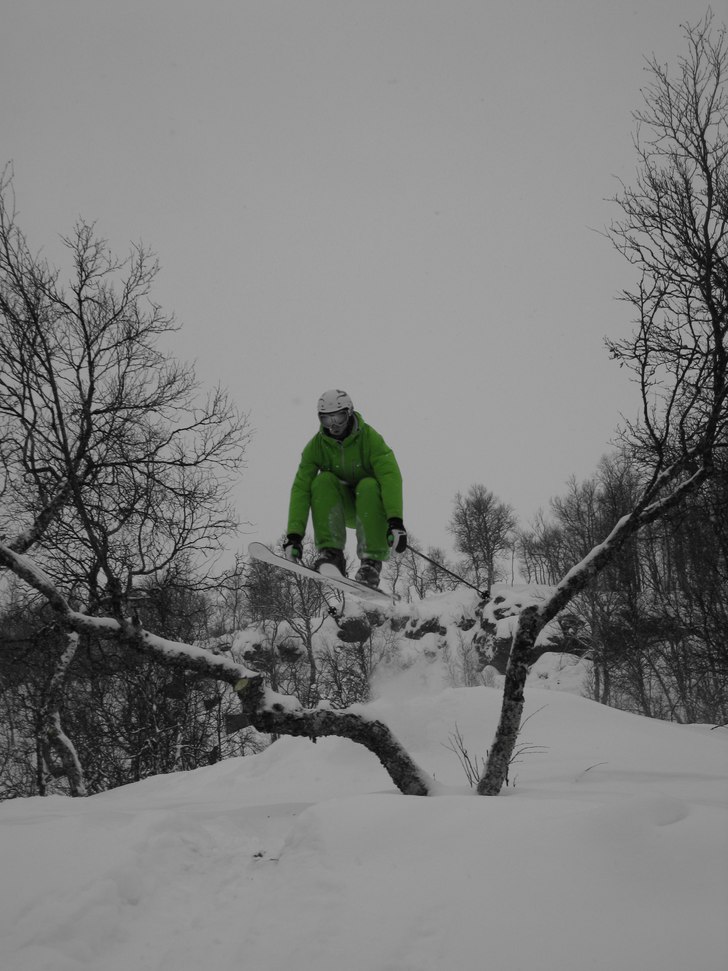 Skogsparken. Foto: Emma Gillingsjö. Åkare: Rasmus Bergqvist.