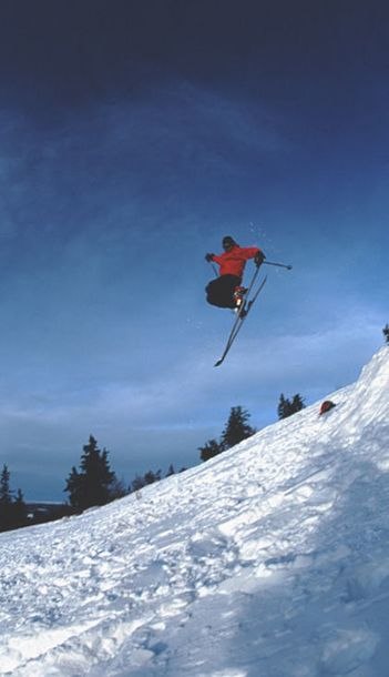 Foto: David Levin. Åkare: Johan Ferner.