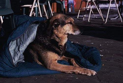 Foto: Juha Laine. Åkare: Heps.