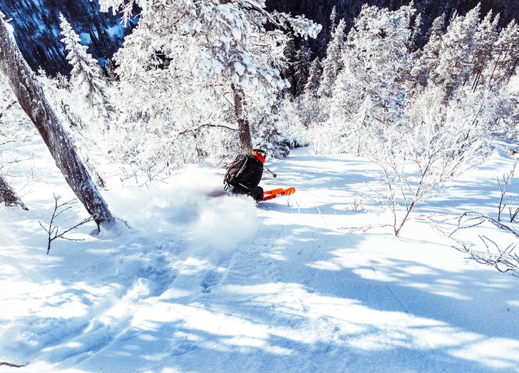 Något snårig terräng på Skalsfjället.. Foto: Axel Adolfsson.