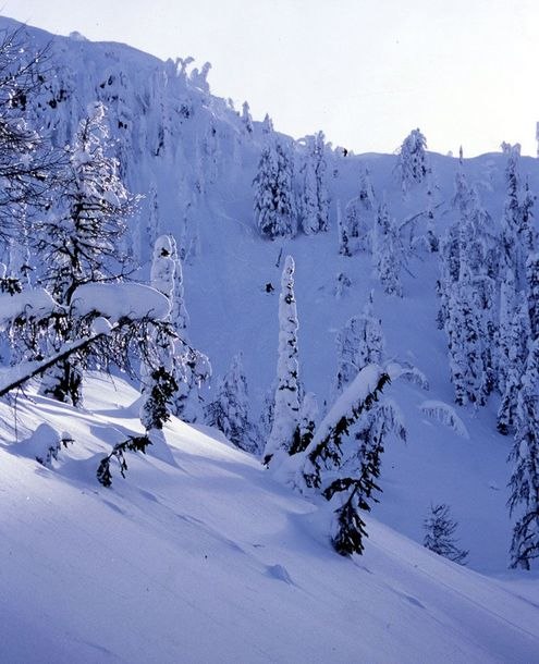 Mer Whitewater, denna bowl är värd att testa!. Foto: Jesper Andersson. Åkare: Thomas Hellstöm.