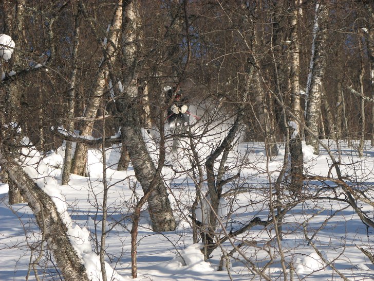 Foto: Magnus Marklund. Åkare: André Rönnlund.