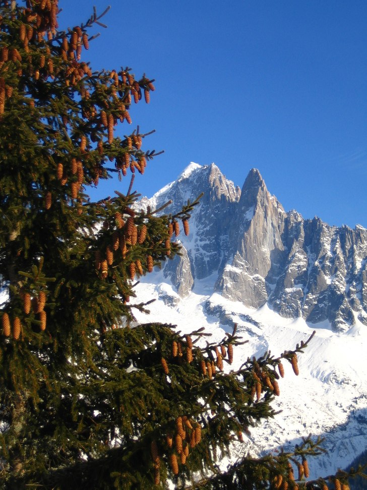 Grymt !. Foto: Peter Stenquist. Åkare: Granen !.