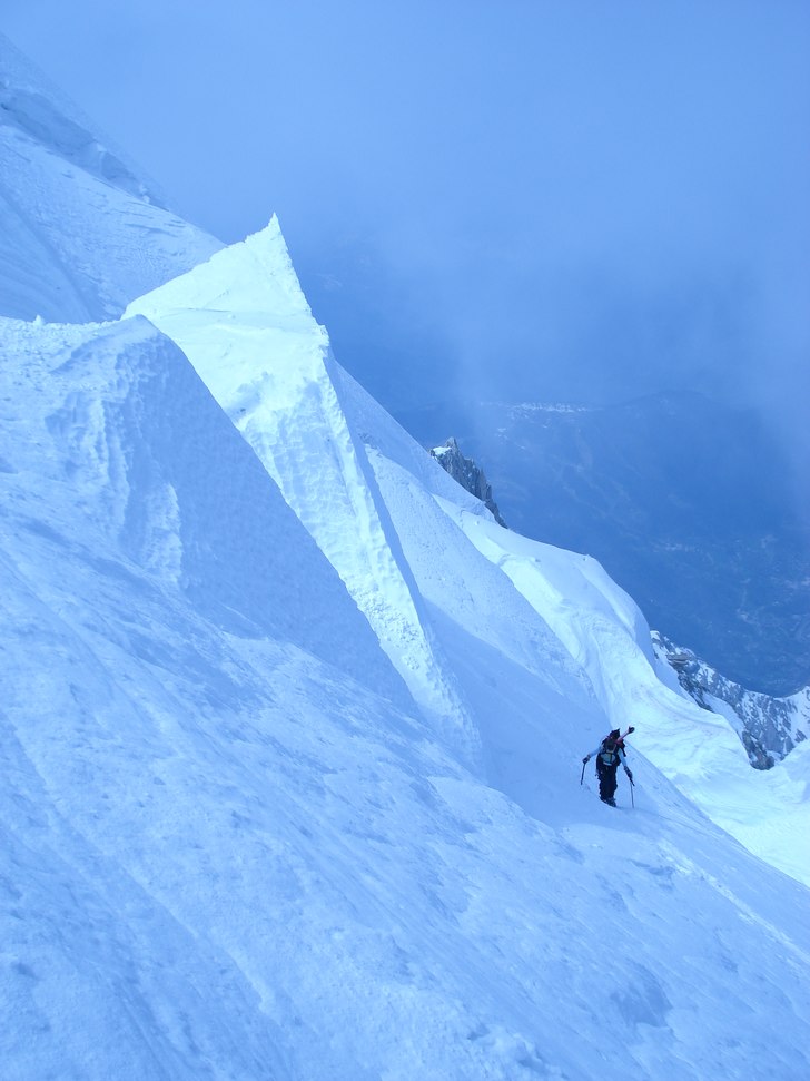 Foto: Pernilla Lidholm. Åkare: Kelly.
