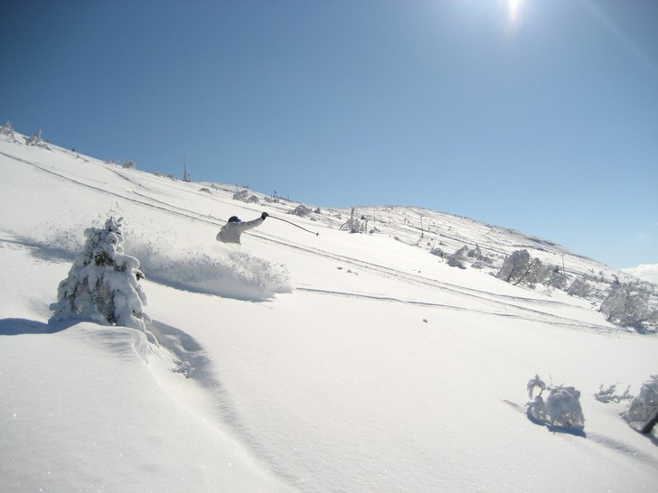 Nästintill orörd, lätt och underbar pudersnö i. Foto: Marcus wadsten. Åkare: johan wadsten.