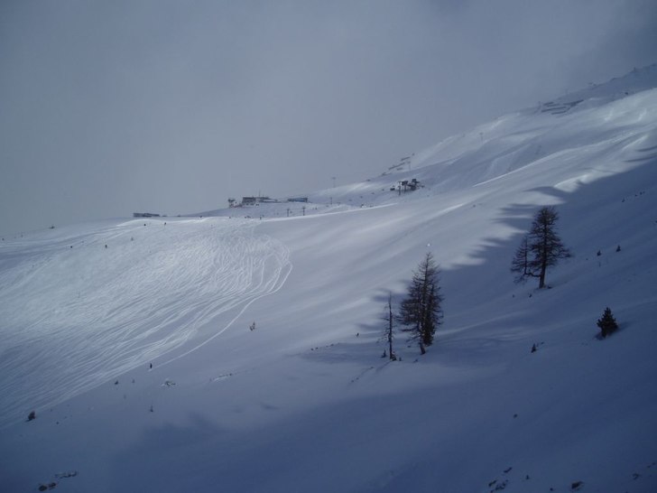 Foto: Johan Andersson.