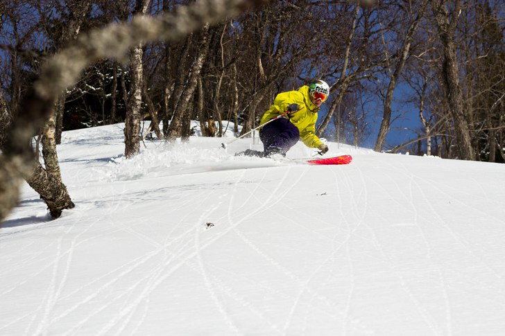Foto: Eric Skytt. Åkare: Mattias Wrede.