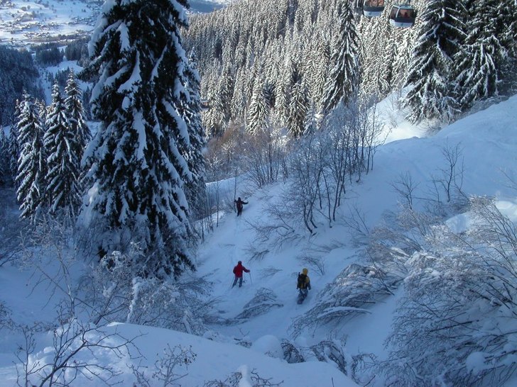på vift bland träden. Foto: Andrea Ahlenius. Åkare: Olga, Boris o Vincent.