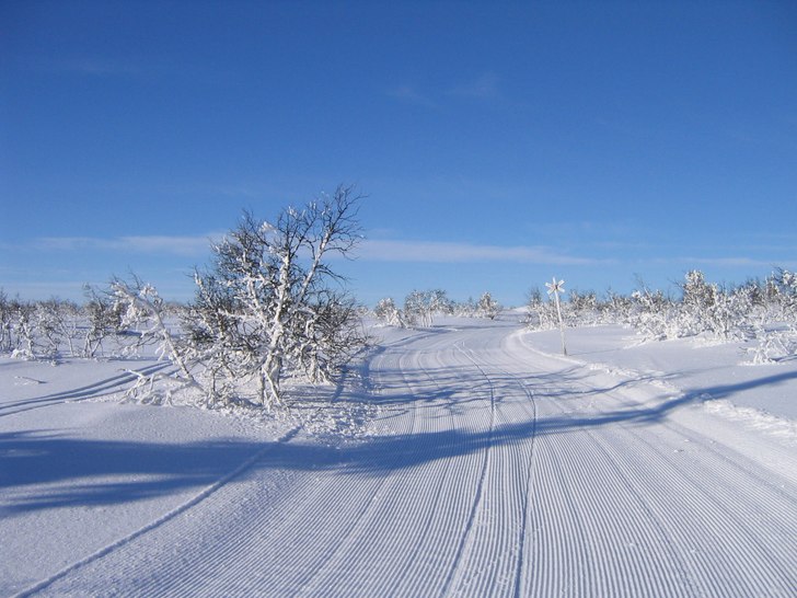 Spåret nedanför Björnrennet, mot Glötåsvallen. Foto: Daniel Rapp.