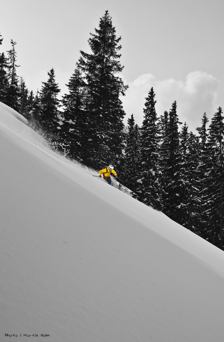 Foto: Martin Holm. Åkare: Christian Åkesson.