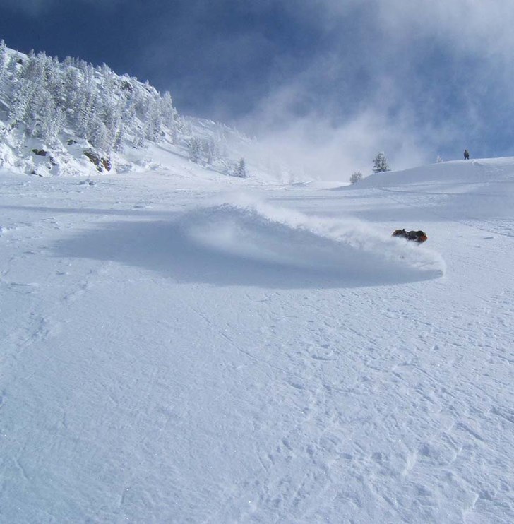 Foto: Björn Asplund. Åkare: Teo Rosén.