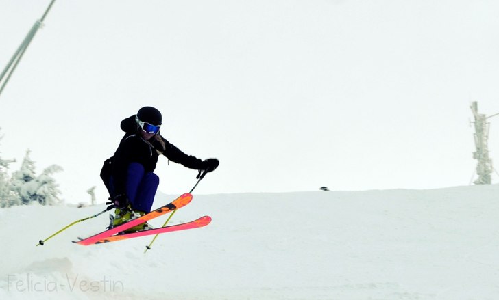 Foto: Mats Westin. Åkare: Felicia Westin.