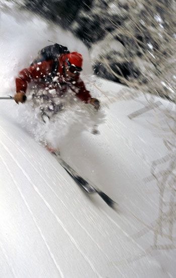 Tolar making his way through the Bruson treeline. . Foto: Yves Garneau. Åkare: Tolar Anderton.