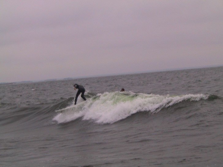 Foto: Gustavo. Åkare: Anders Haglund.