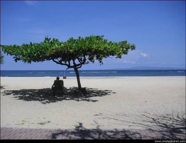 lust att dra och surfa?.