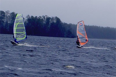 Foto: Sara Gustavsson. Åkare: Matte & Toffy.