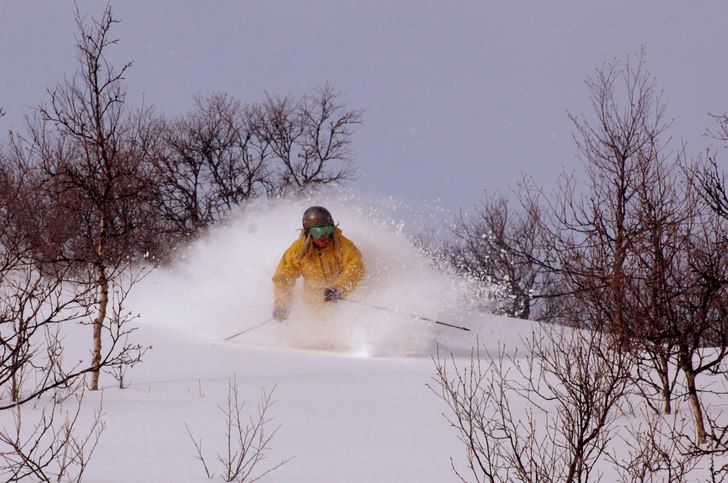 skogen vid svansjön =). Foto: Ebba Kling-Odencrants. Åkare: David Odencrants.