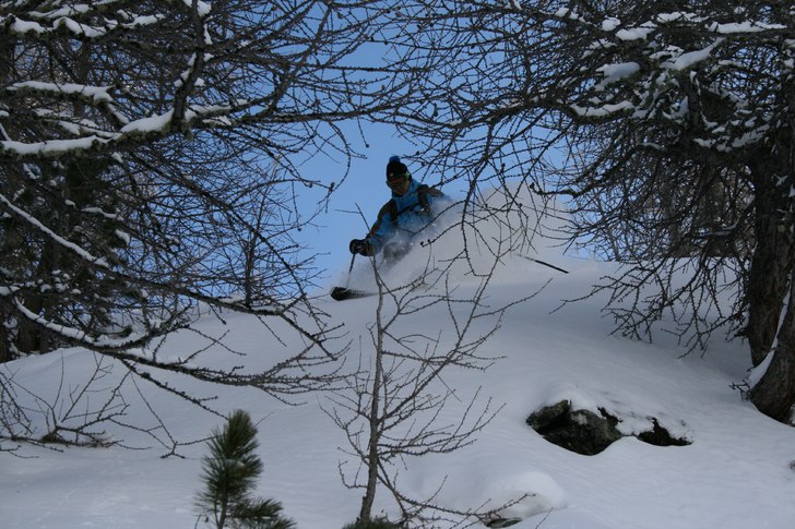Nysnö i skogen på Sunnegga Paradise. Foto: Axel Reimbladh. Åkare: Adam Jonsson.