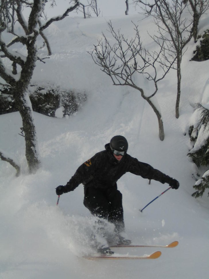 Foto: kristoffer Johansson. Åkare: Swinto.