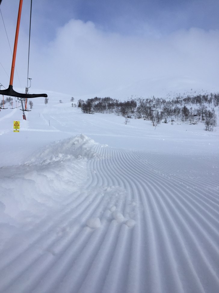 Meir puddersnø og kjempefine forhold!
 Det har sn.