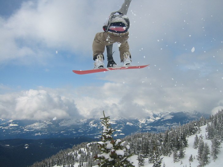 Hoppar över ett träd. Foto: Amanda Lingpling. Åkare: Johan Christensson.