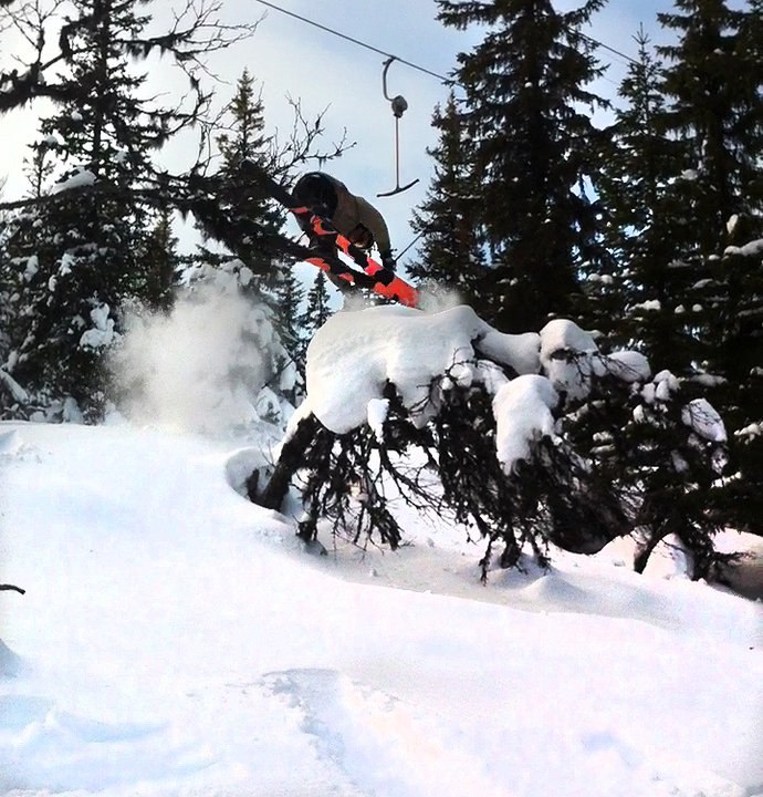 360 handrag över ett träd. Foto: Emil Englund. Åkare: Johan Almroth.