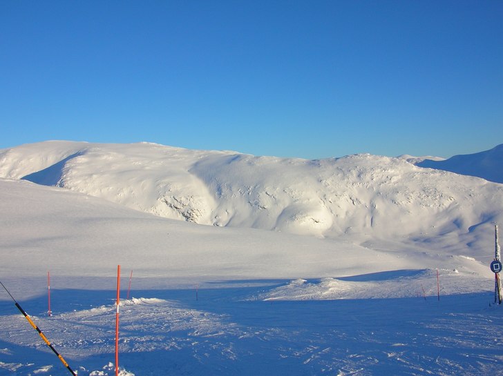 Kobåset. Foto: Mamma.