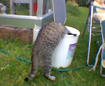 Foto: Mattias Jonasson. Åkare: Siri.