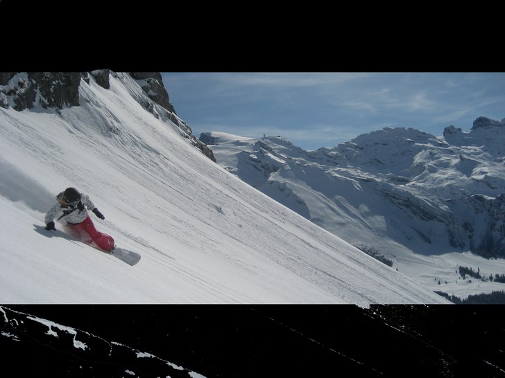 Foto: Carro Rapp. Åkare: Cilla Kjellberg.