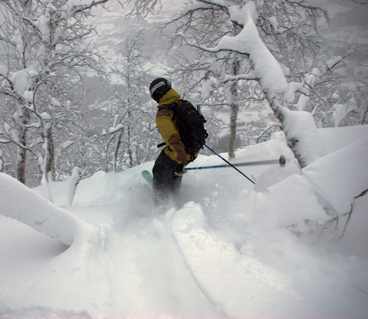 Foto: Janne Holmgren. Åkare: Erik Holmgren.