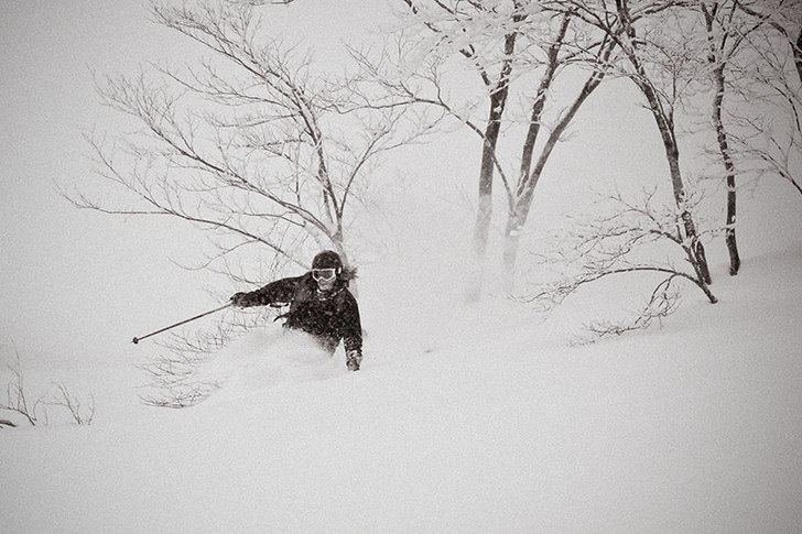 Mulet = inget bra ljus = svartvitt :). Foto: Alexander Thurban. Åkare: David Clemensson.